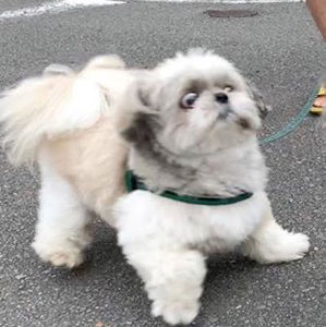 Meet your Posher, Sara